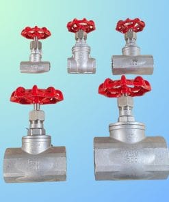 Van cầu hơi ren inox 304