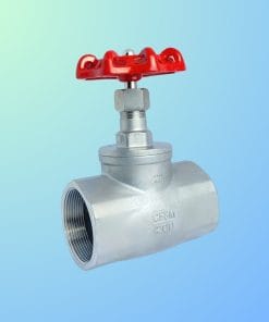 Phân loại van cầu hơi ren inox