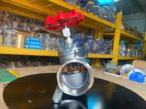 Cấu tạo Van cầu hơi ren inox 304