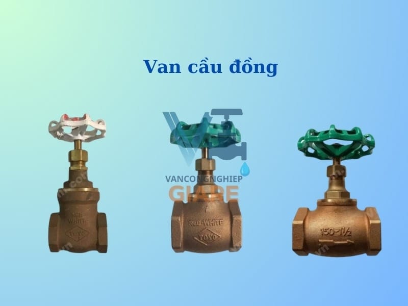 Van cầu đồng (Brass/Bronze Globe Valve)