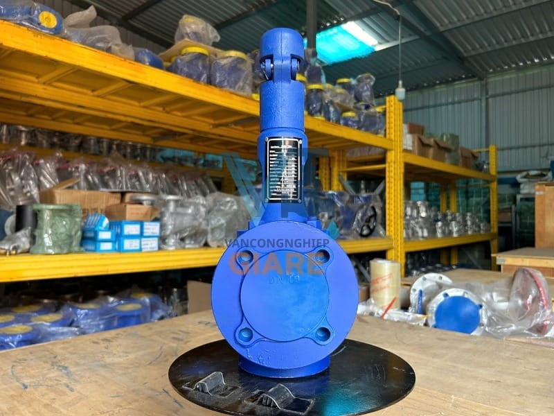 Van an toàn thép WCB