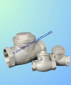 Van 1 chiều lá lật ren inox 304