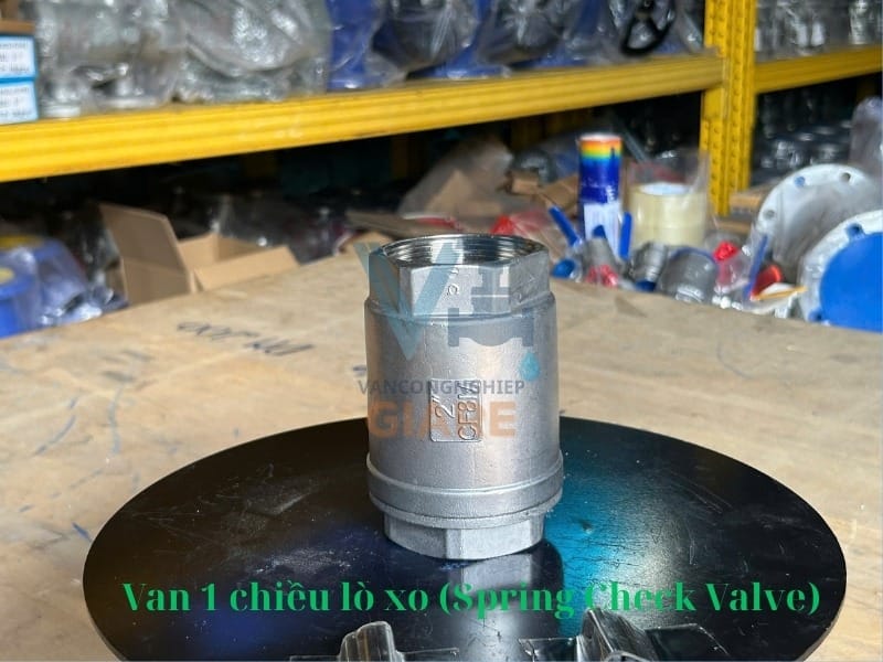 Van 1 chiều lò xo (Spring Check Valve)