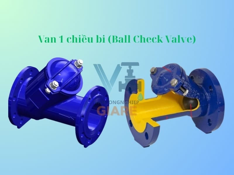 Van 1 chiều bi (Ball Check Valve)