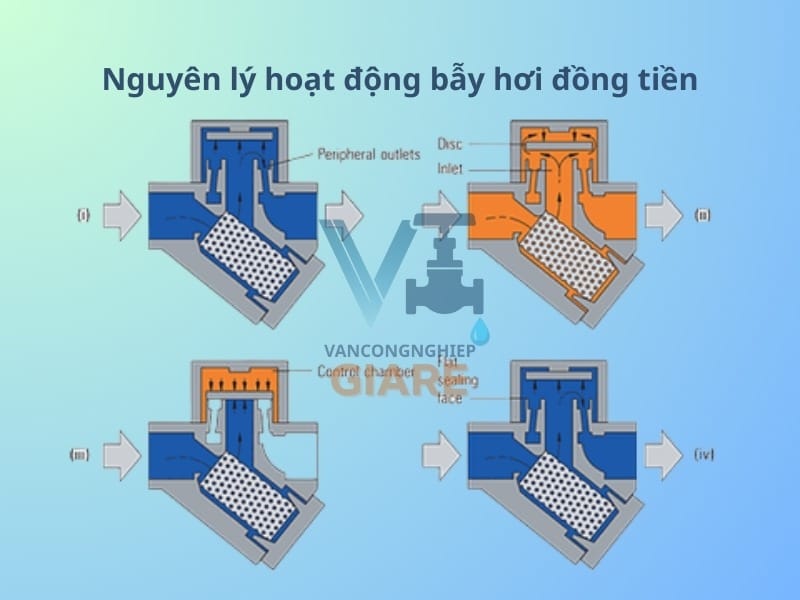 Nguyên lý hoạt động bẫy hơi đồng tiền