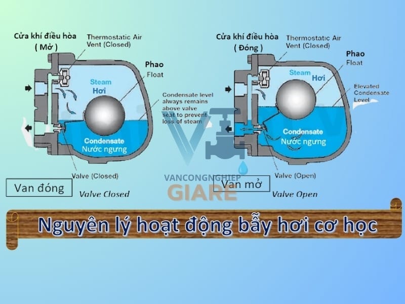 Nguyên lý hoạt động bẫy hơi phao
