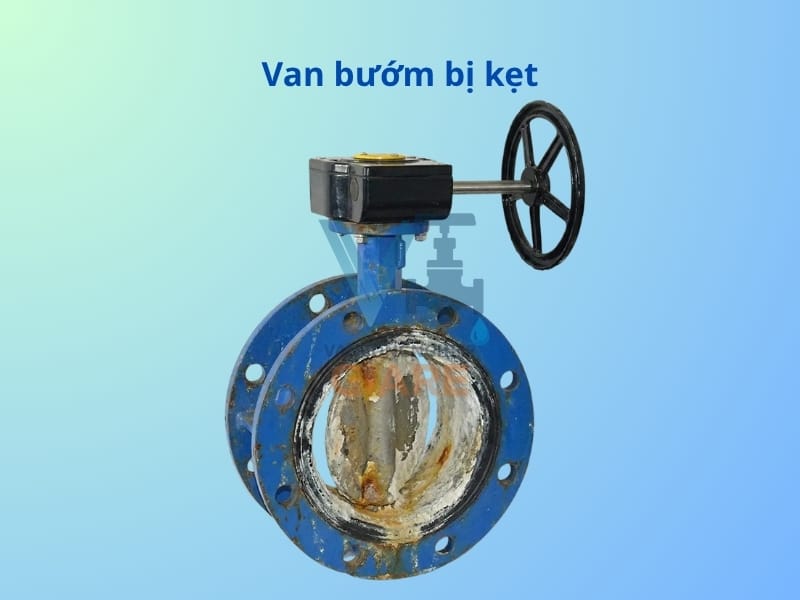 Van bướm bị kẹt