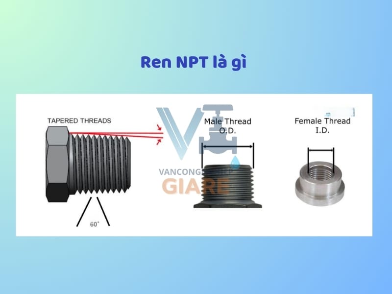 Ren NPT Là Gì?